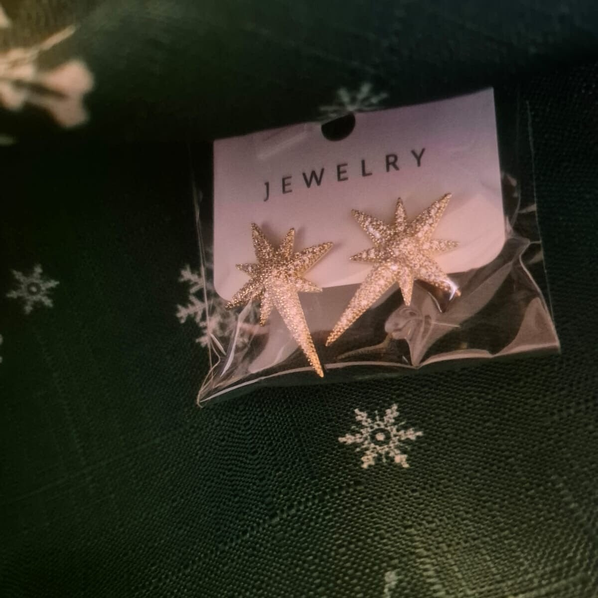 Kutup Yıdızı Çelik Küpe